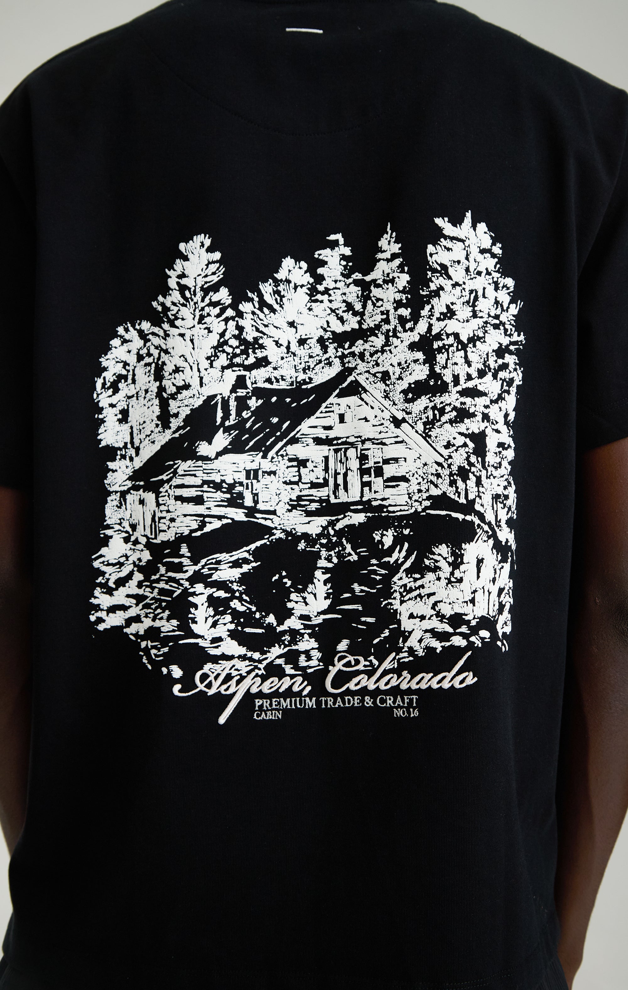 Aspen Mountain Lodge T-Shirt