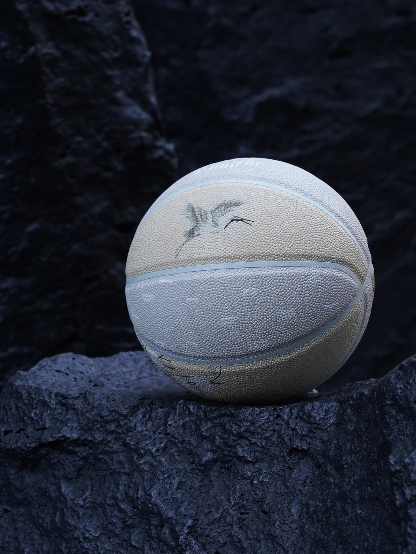 THE ANNIVERSARY BASKETBALL - ONLY THE BLIND™