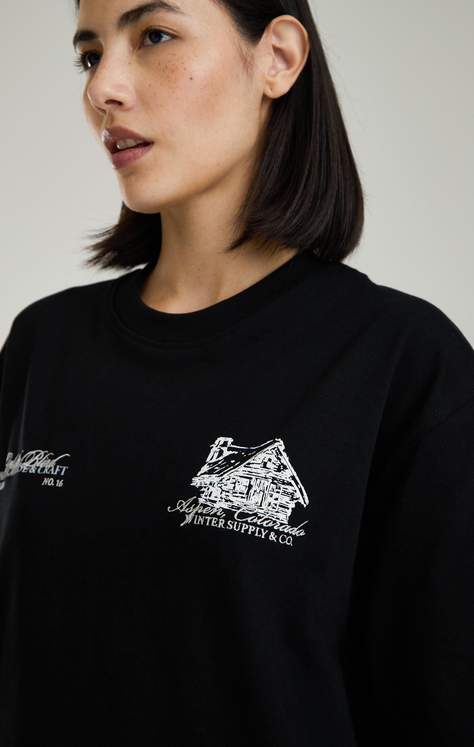 Aspen Mountain Lodge T-Shirt